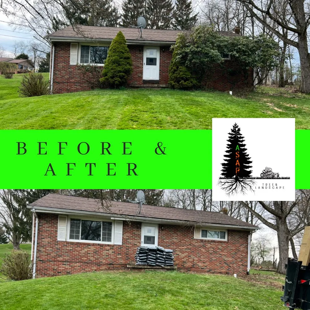 Top-rated outdoor landscaping in Monaca, PA - ASAP Tree & Landscape