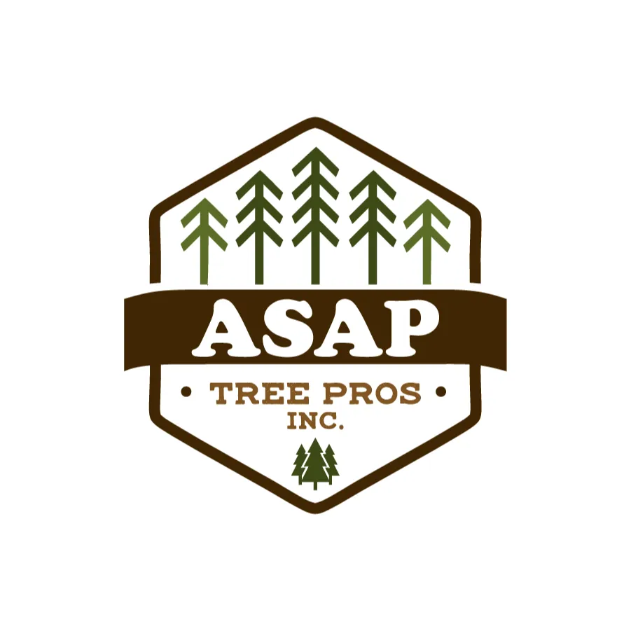 Professional outdoor landscaping near you in Rockford, IL by ASAP Tree Pros