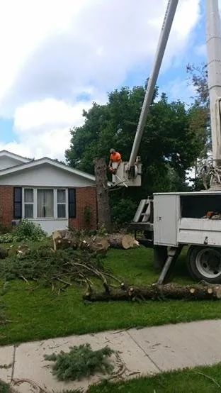 Reliable lawn care service in Rockford, IL by ASAP Tree Pros