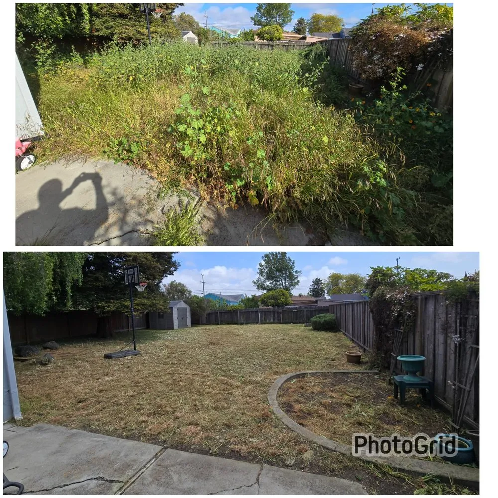 Trusted landscaping services experts serving Hayward, CA - Asap Yard Sand Lawns