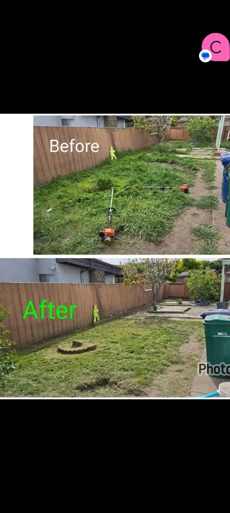 Top-rated yard maintenance experts serving Hayward, CA - Asap Yard Sand Lawns
