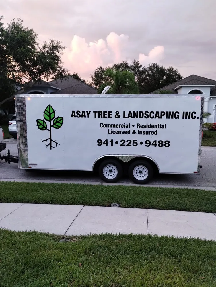 Affordable outdoor landscaping experts serving Sarasota, FL - Asay Tree & Landscaping