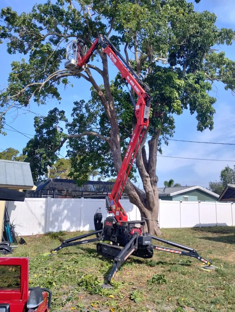 Expert lawn mowing service with custom design in Sarasota, FL by Asay Tree & Landscaping