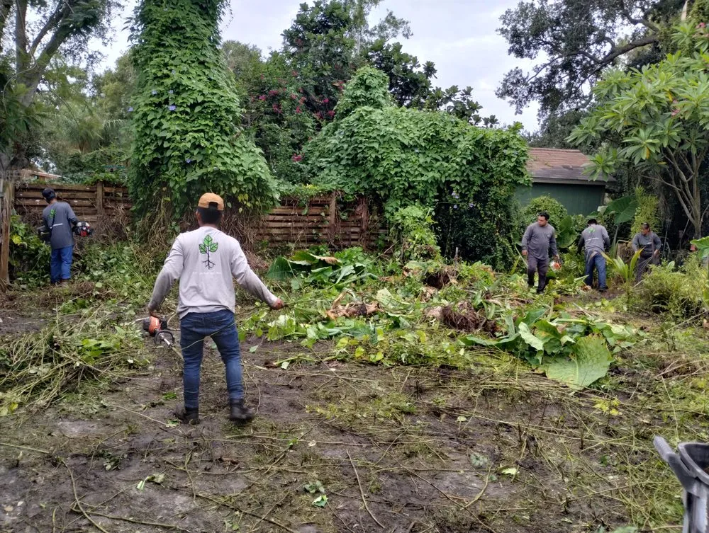 Affordable lawn care service for outdoor upgrades across Sarasota, FL - Asay Tree & Landscaping