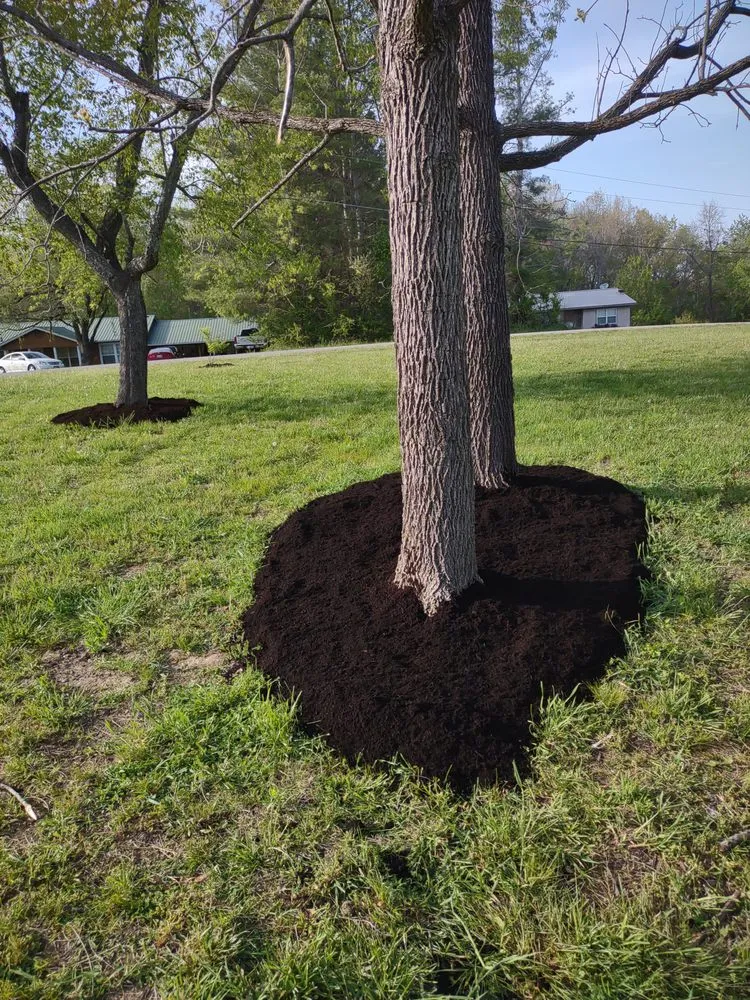 Custom lawn care service near you in Jamestown, TN by Asberry Lawn Care and Landscape