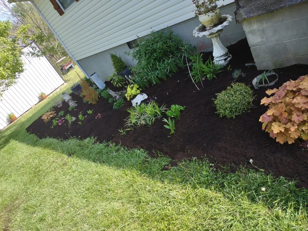 Professional yard cleanup service experts serving Jamestown, TN - Asberry Lawn Care and Landscape