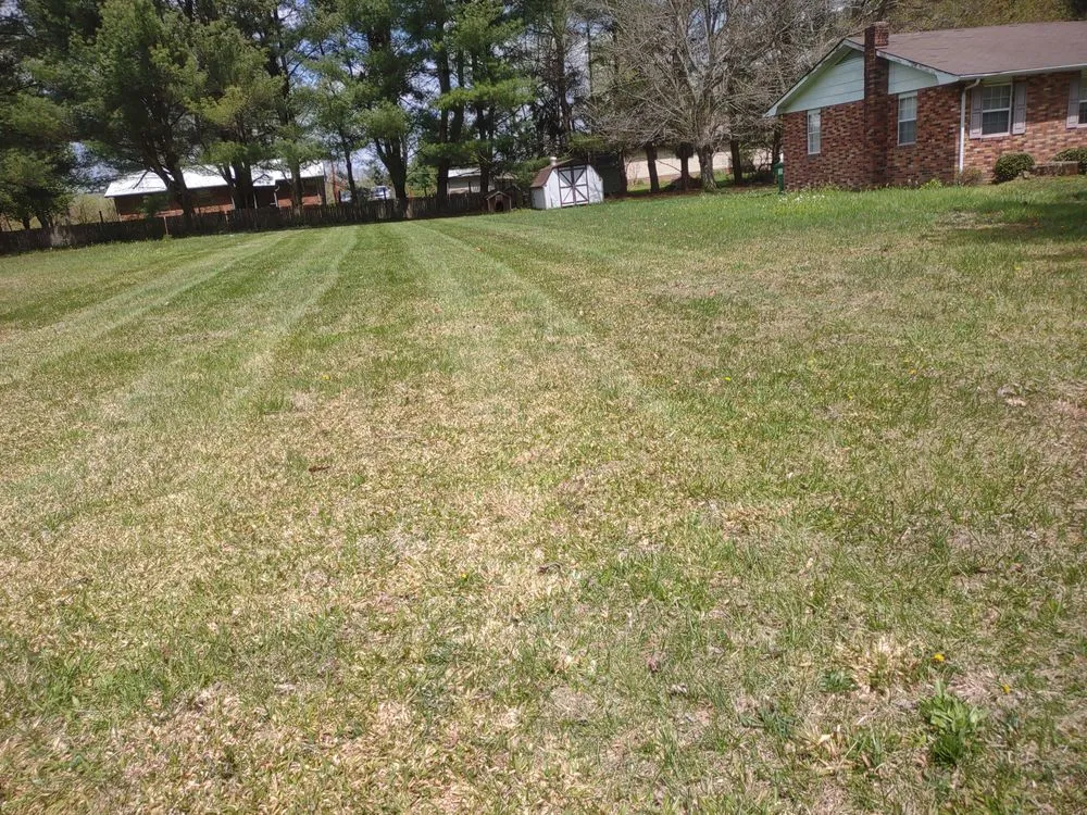 Expert lawn mowing service in Jamestown, TN by Asberry Lawn Care and Landscape