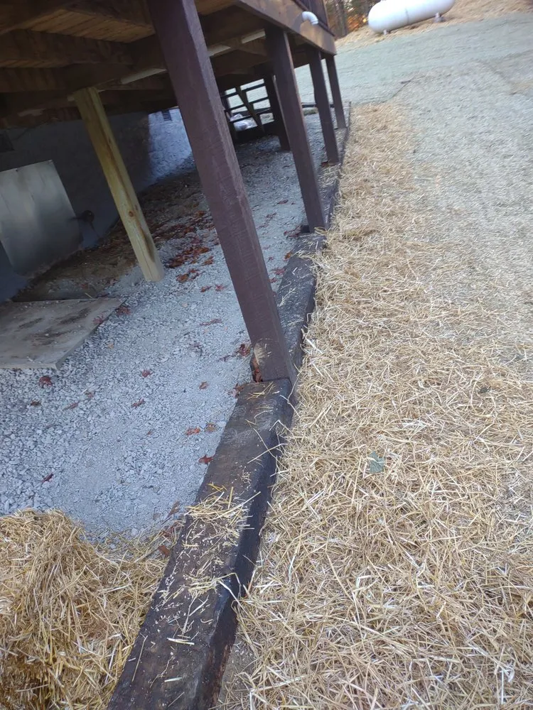 Reliable yard cleanup service experts serving Jamestown, TN - Asberry Lawn Care and Landscape