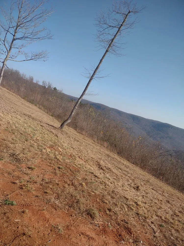 Top-rated outdoor landscaping experts serving Jamestown, TN - Asberry Lawn Care and Landscape