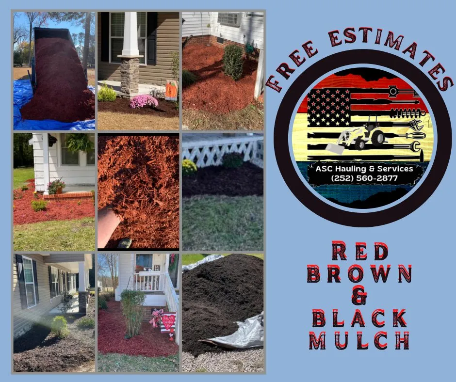 Expert outdoor landscaping in Pink Hill, NC by ASC Hauling & Services