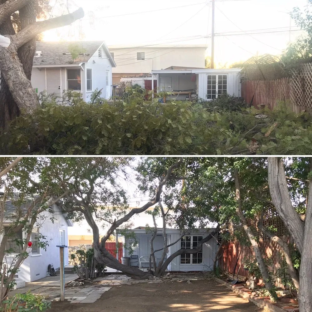 Expert landscape design experts serving Long Beach, CA - ASC Landscaping