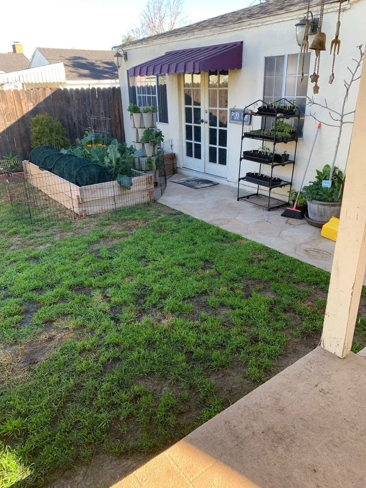 Trusted landscape design in Long Beach, CA - ASC Landscaping