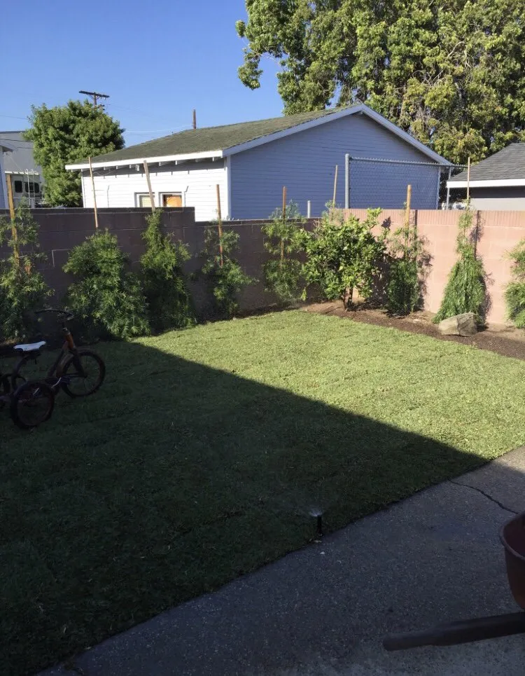 Professional outdoor landscaping in Long Beach, CA - ASC Landscaping