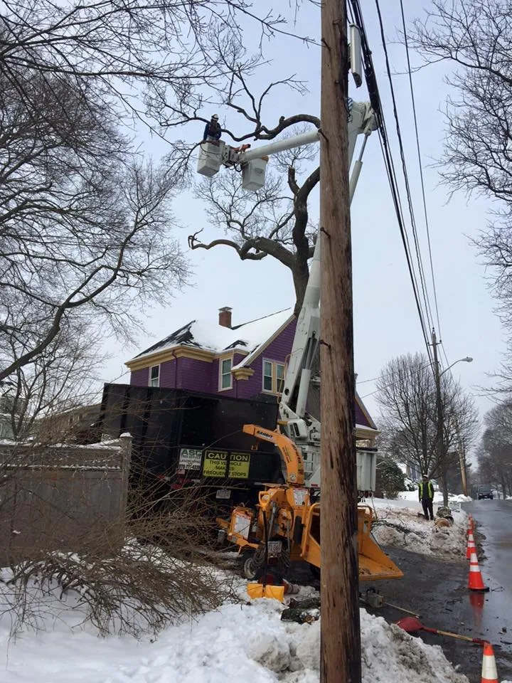 Affordable residential landscaping experts serving Derry, NH - ASC Tree Service