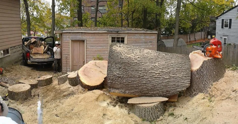 Affordable yard maintenance for year-round maintenance across Derry, NH - ASC Tree Service