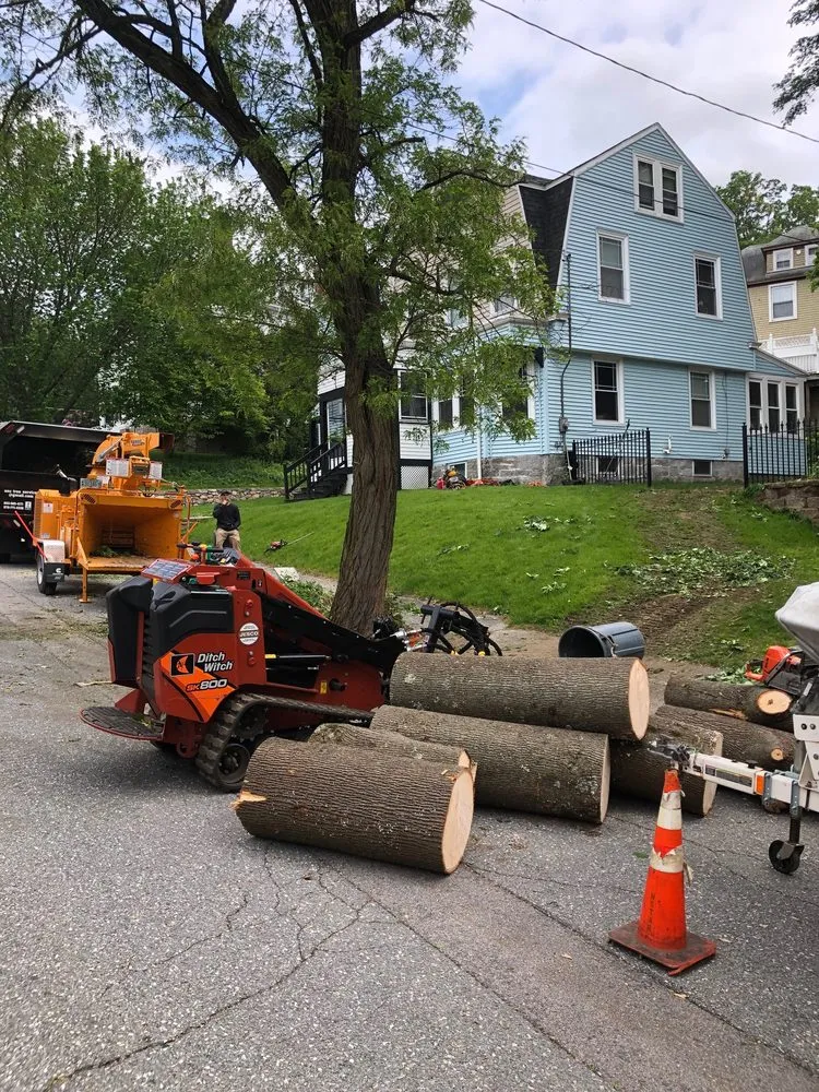 Expert yard cleanup service in Derry, NH by ASC Tree Service