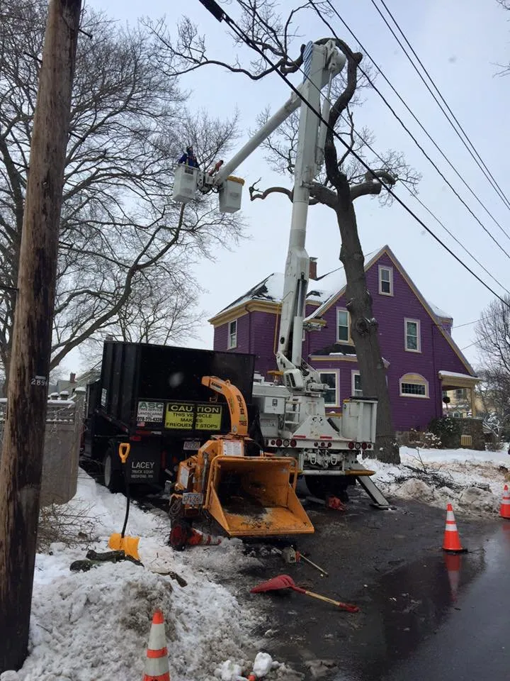 Custom landscape installation with custom design across Derry, NH - ASC Tree Service