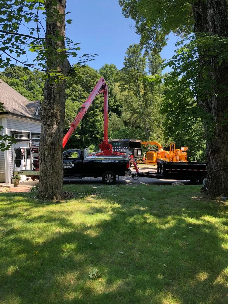 Local yard maintenance in Derry, NH - ASC Tree Service