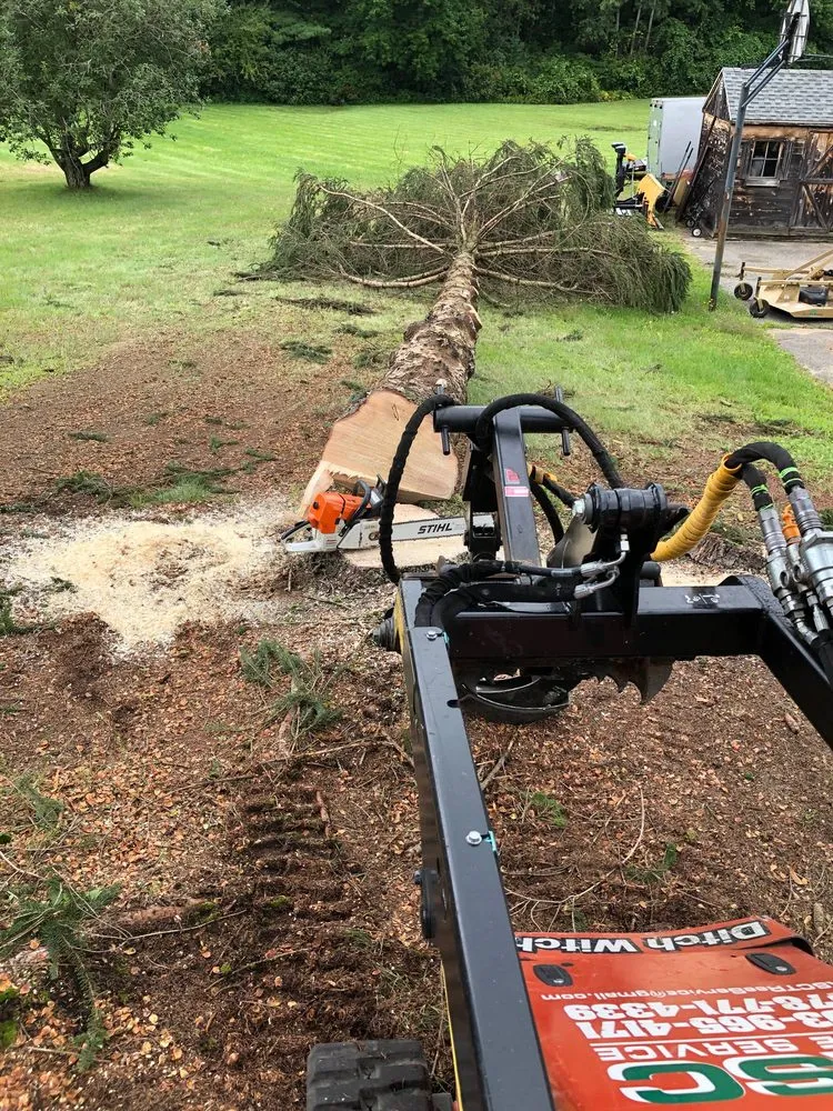 Custom outdoor landscaping experts serving Derry, NH - ASC Tree Service