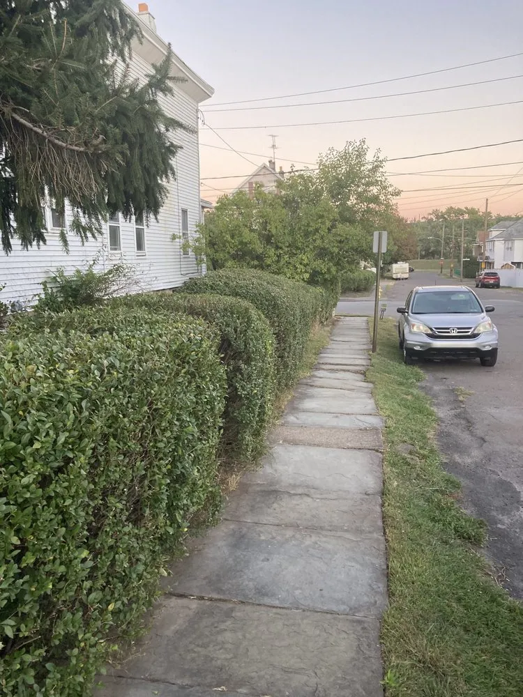 Professional lawn care service for beautiful yards across Scranton, PA - Ascape Landscaping