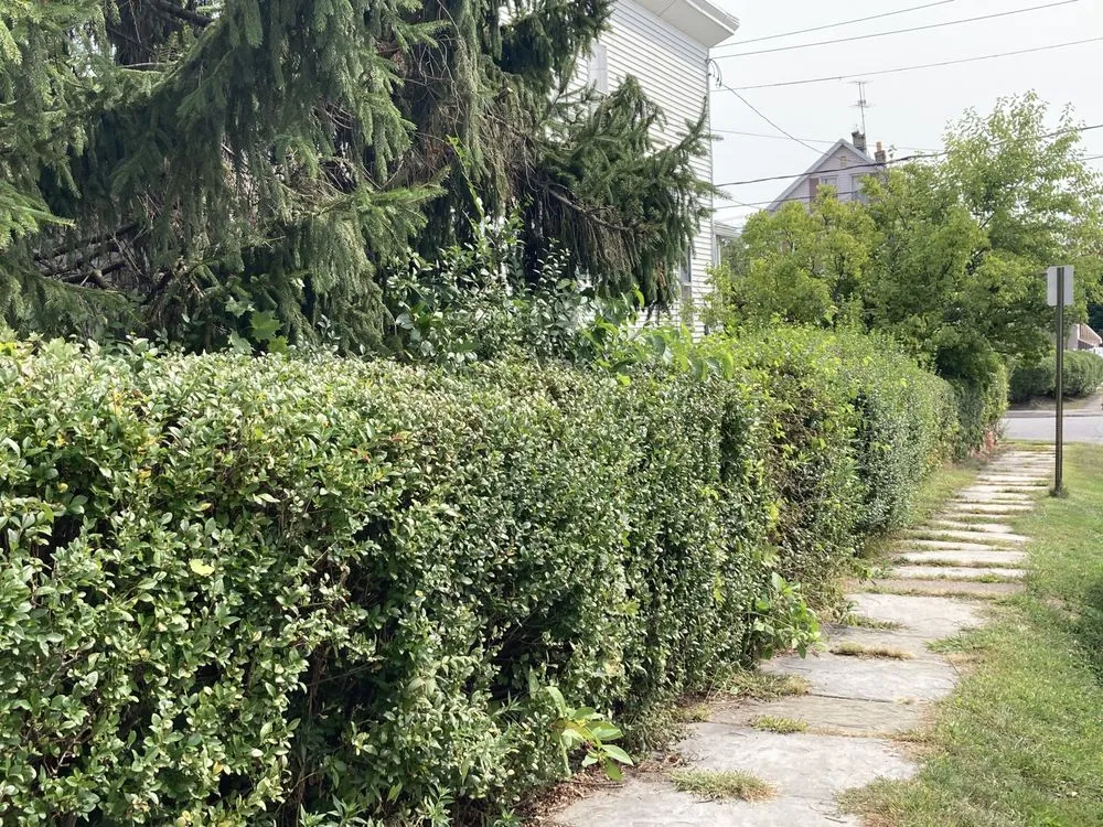 Reliable garden landscaping for outdoor upgrades in Scranton, PA by Ascape Landscaping