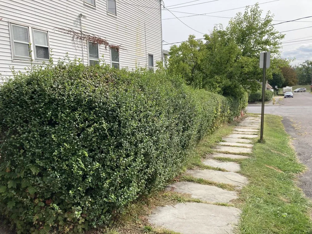 Trusted residential landscaping experts serving Scranton, PA - Ascape Landscaping