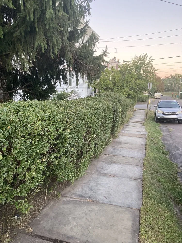 Expert landscaping services in Scranton, PA - Ascape Landscaping