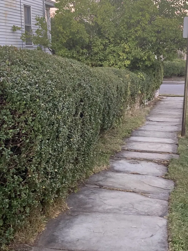 Top-rated garden landscaping experts serving Scranton, PA - Ascape Landscaping