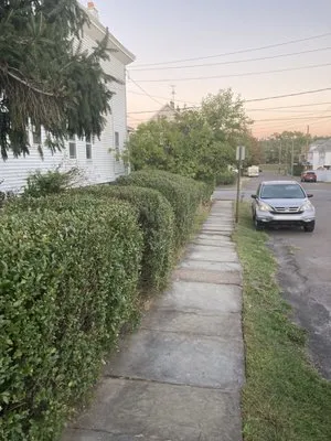 Ascape Landscaping Logo