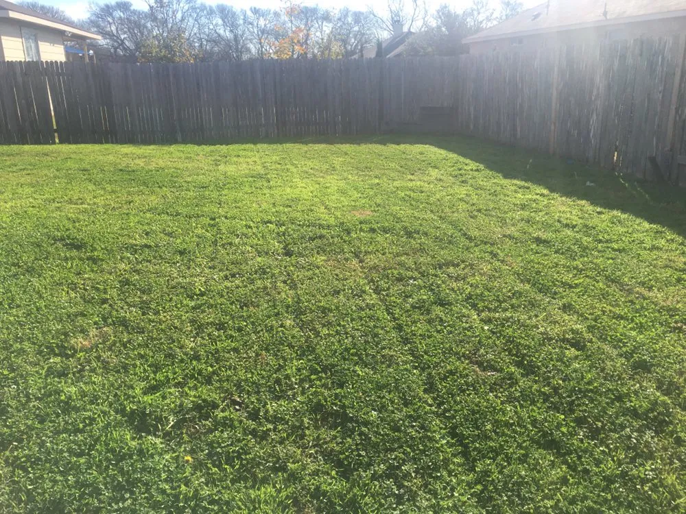 Custom landscape installation with custom design across Elgin Texas, TX - Ascencio Landscaping