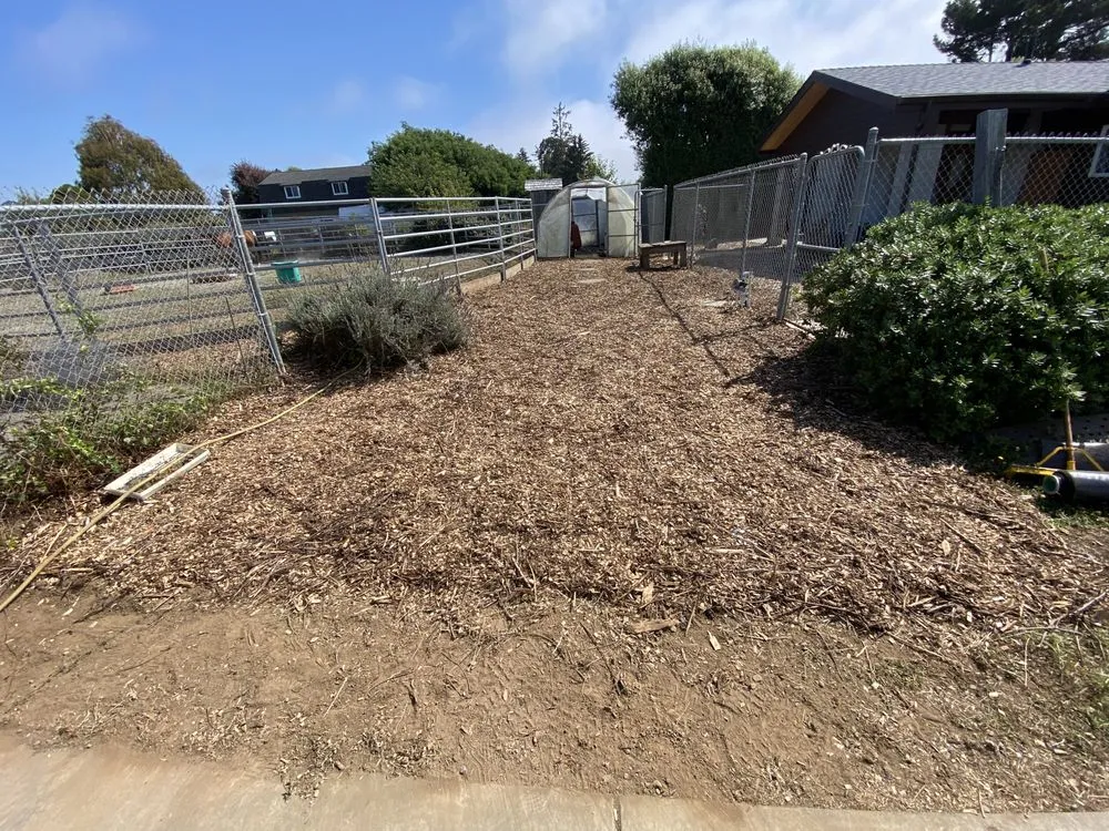 Reliable landscape design near you in Arcata, CA by Ascencio Landscaping Lawn Care Solutions