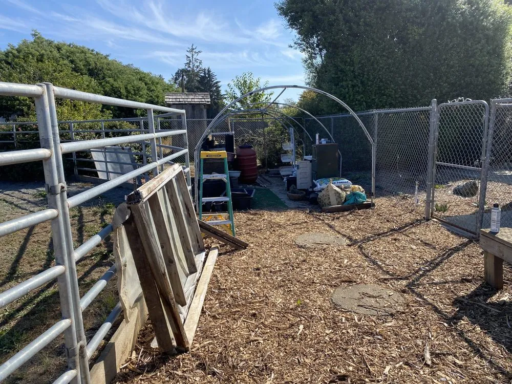 Professional residential landscaping experts serving Arcata, CA - Ascencio Landscaping Lawn Care Solutions