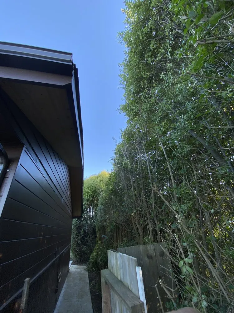 Expert outdoor landscaping in Arcata, CA by Ascencio Landscaping Lawn Care Solutions