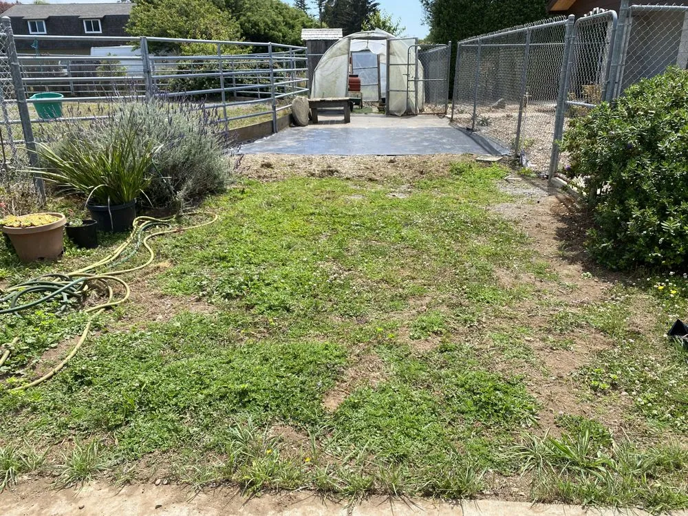 Trusted yard maintenance near you across Arcata, CA - Ascencio Landscaping Lawn Care Solutions