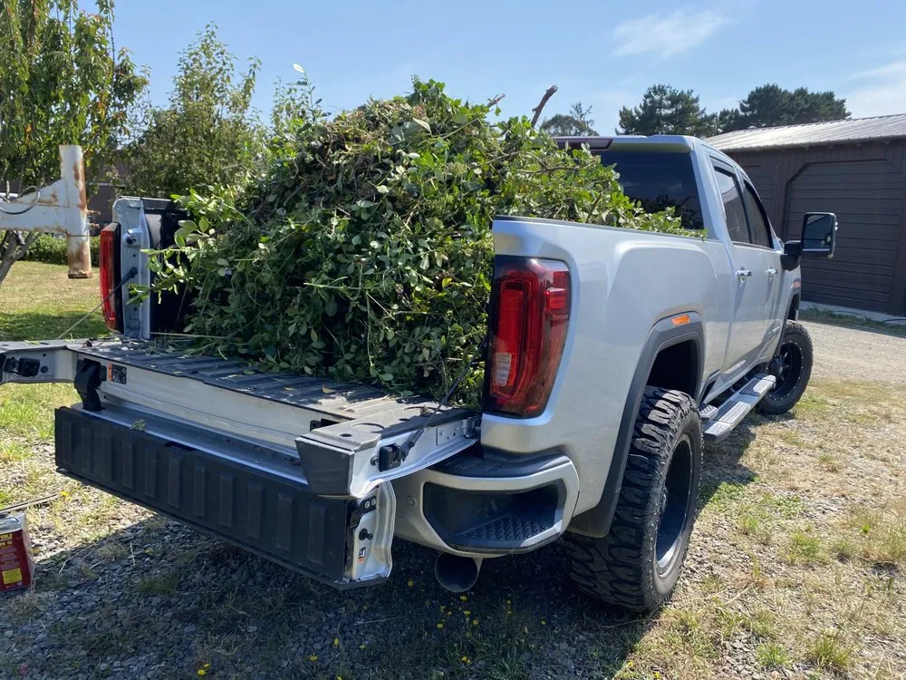 Affordable landscaping services for year-round maintenance across Arcata, CA - Ascencio Landscaping Lawn Care Solutions