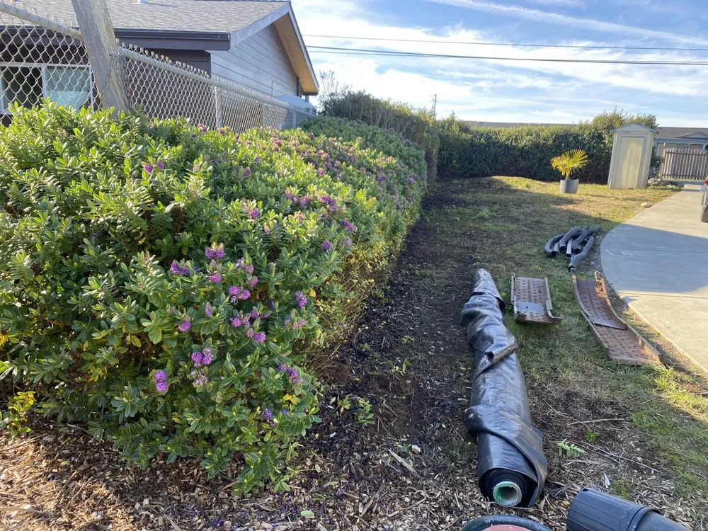 Top-rated landscape installation experts serving Arcata, CA - Ascencio Landscaping Lawn Care Solutions