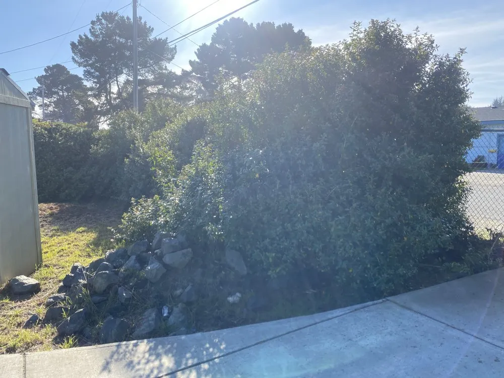 Affordable yard maintenance for outdoor upgrades in Arcata, CA by Ascencio Landscaping Lawn Care Solutions