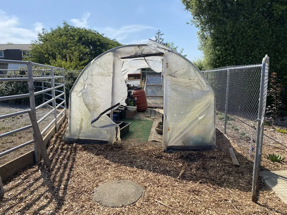 Reliable landscape installation in Arcata, CA by Ascencio Landscaping Lawn Care Solutions