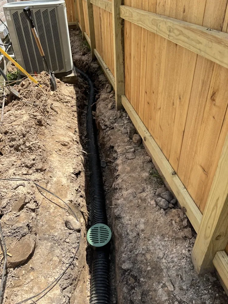 Reliable lawn care service for year-round maintenance in Houston, TX by Ascend Development Group