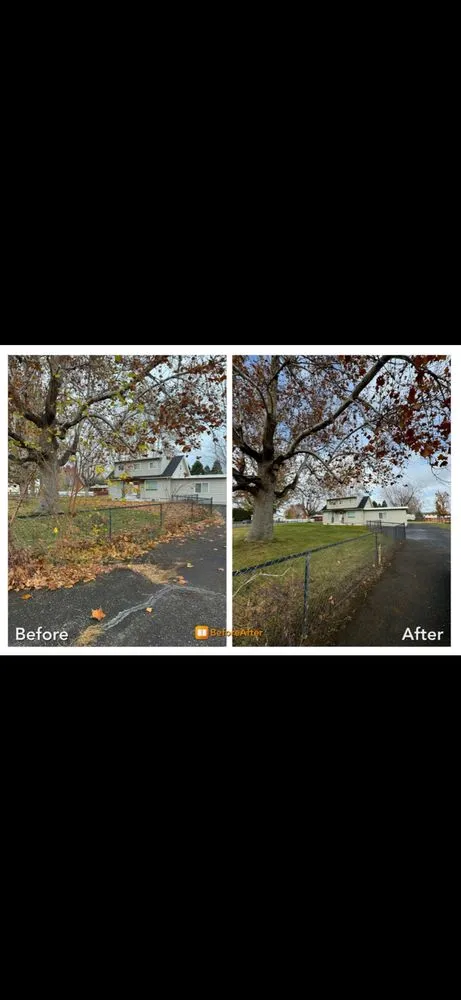 Affordable yard cleanup service in Pasco, WA by Ascend Landscaping