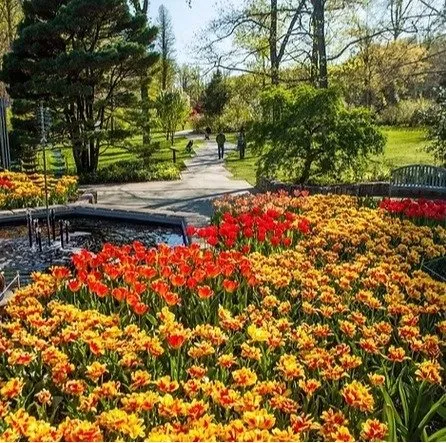 Reliable yard maintenance with custom design across Lenexa, KS - Ascend Lawn & Landscape