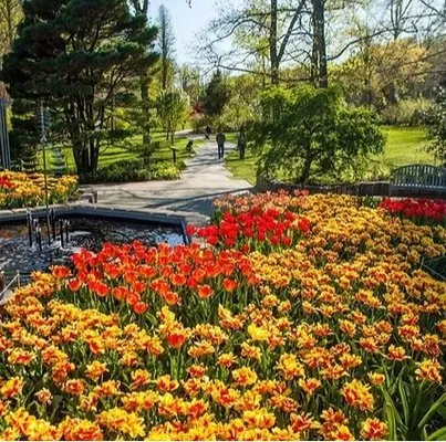 Ascend Lawn & Landscape Logo