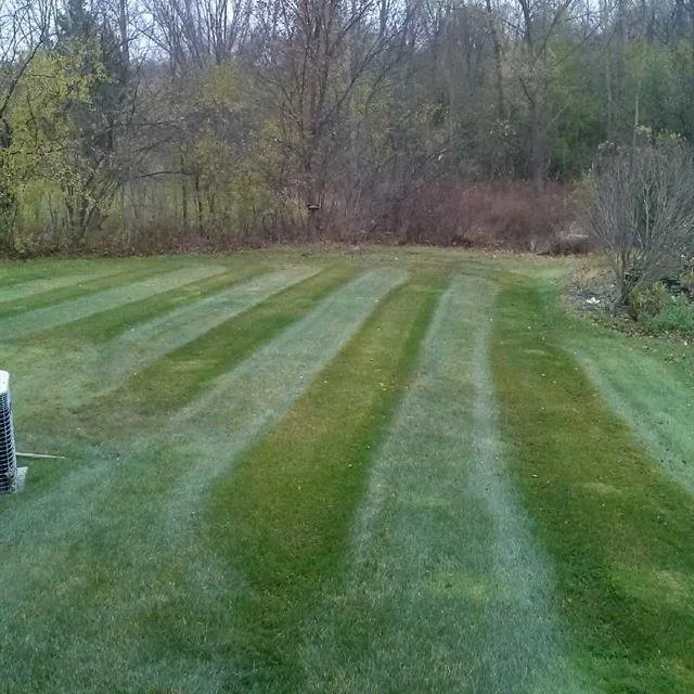 Local landscaping services near you across Southfield, MI - Ascend Lawn Care