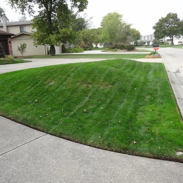 Expert yard maintenance experts serving Southfield, MI - Ascend Lawn Care
