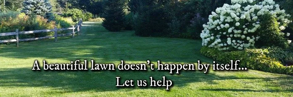 Professional yard cleanup service for year-round maintenance across Southfield, MI - Ascend Lawn Care