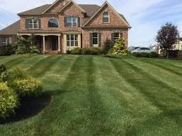 Local yard maintenance for beautiful yards in Southfield, MI by Ascend Lawn Care