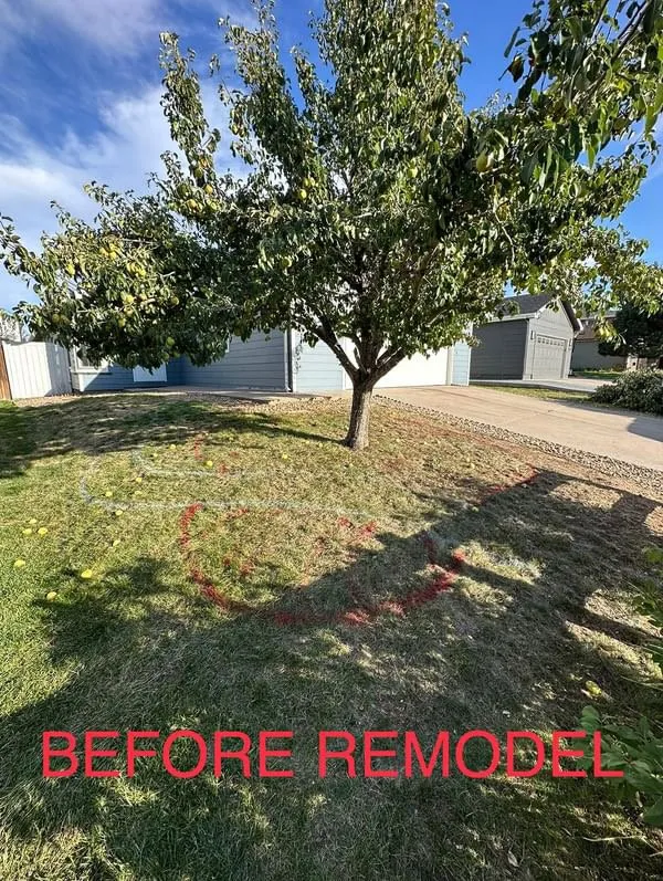 Local yard maintenance in Aurora, CO - Ascending Renovations