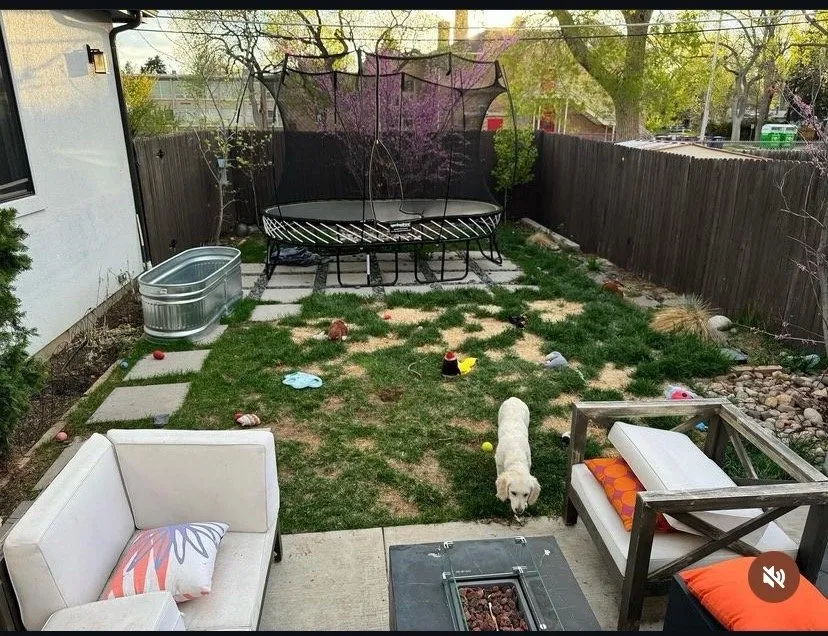 Local garden landscaping experts serving Aurora, CO - Ascending Renovations