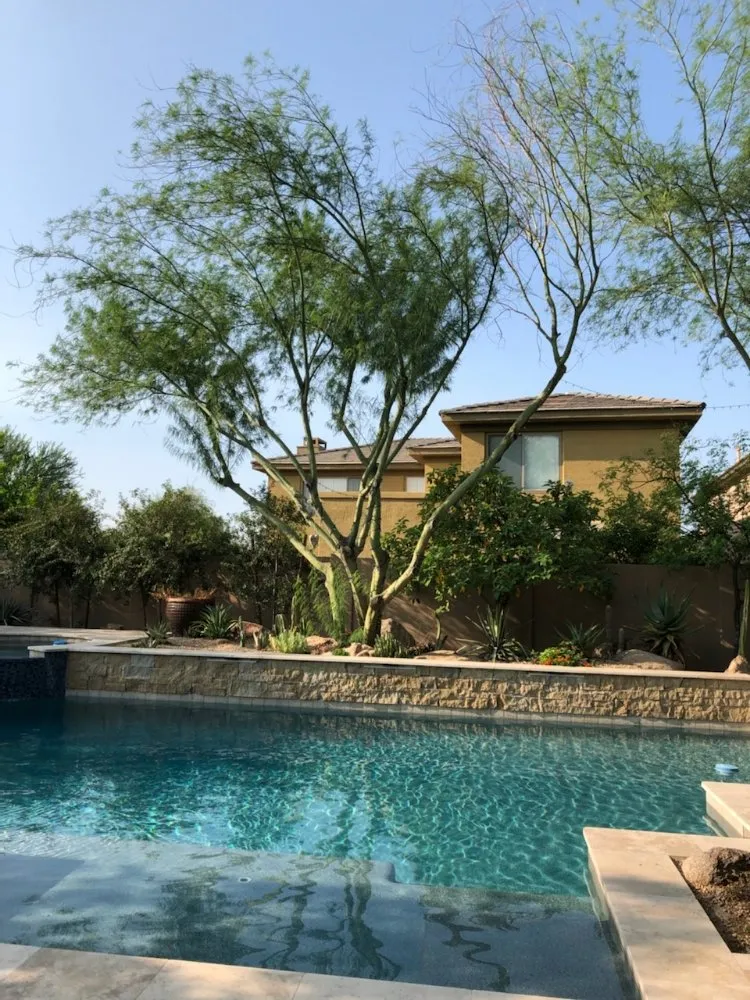 Local landscape installation for beautiful yards in Queen Creek, AZ by Ascending Tree Care