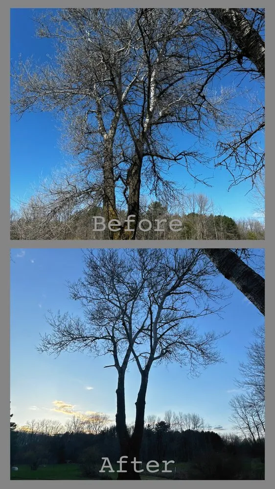 Reliable residential landscaping in Green Bay, WI by Ascension landscape & Tree service